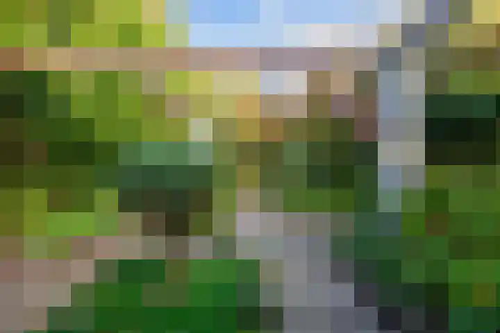 Jan Zijlmasingel 45 Leens thumbnail 15