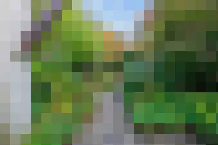 Jan Zijlmasingel 45 Leens thumbnail 33