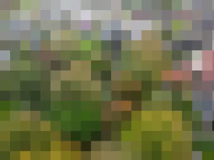 Jan Zijlmasingel 45 Leens thumbnail 4