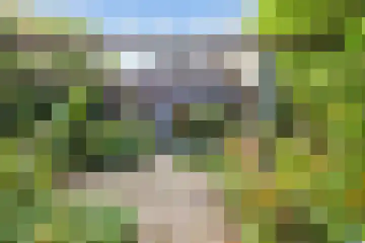 Jan Zijlmasingel 45 Leens thumbnail 41