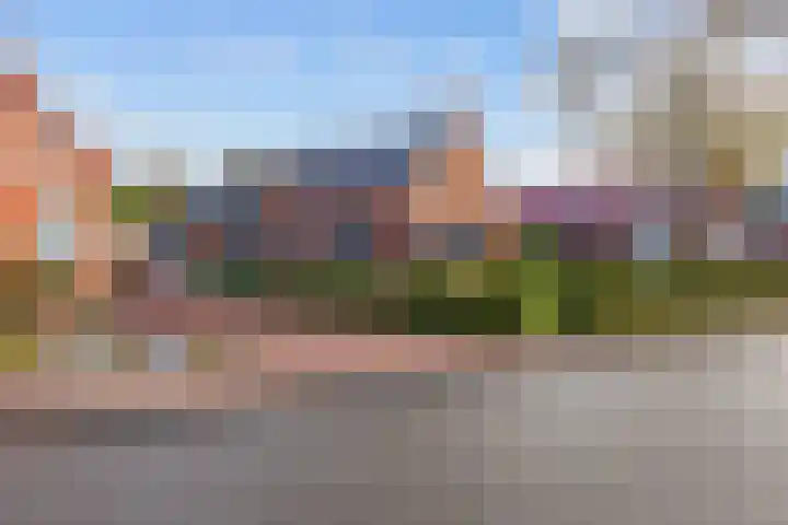 Jan Zijlmasingel 45 Leens thumbnail 5