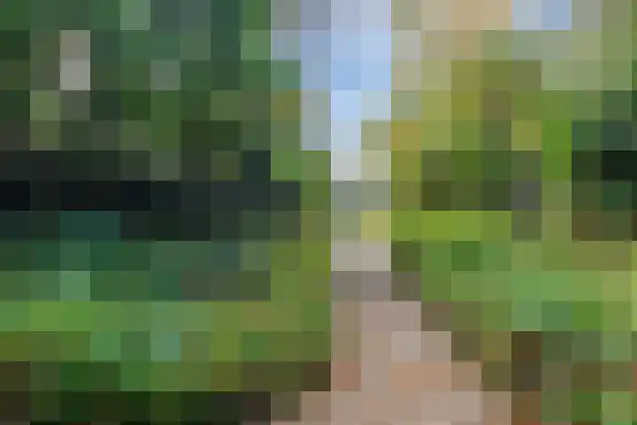Jan Zijlmasingel 45 Leens thumbnail 7