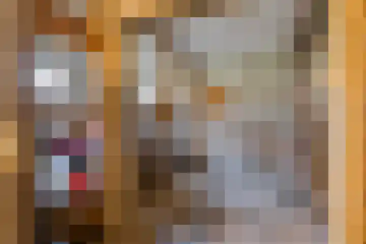 Jan Zwanenburghof 16 H Amsterdam thumbnail 22