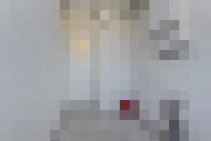 Jan Zwanenburghof 16 H Amsterdam thumbnail 8