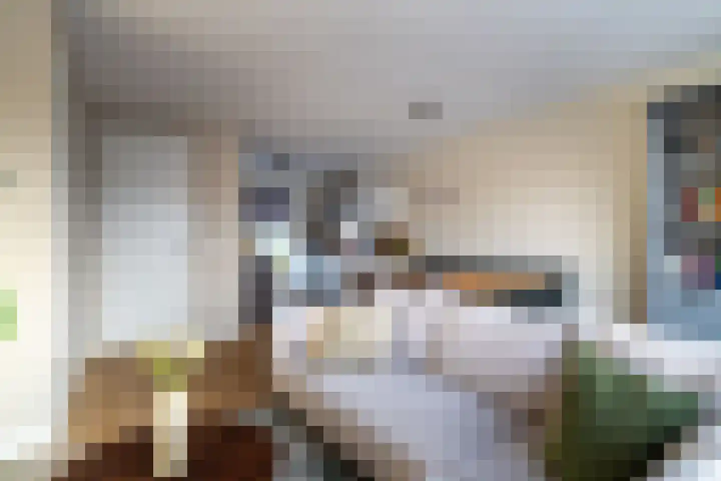 Janbaas 11 Nieuwendijk thumbnail 11