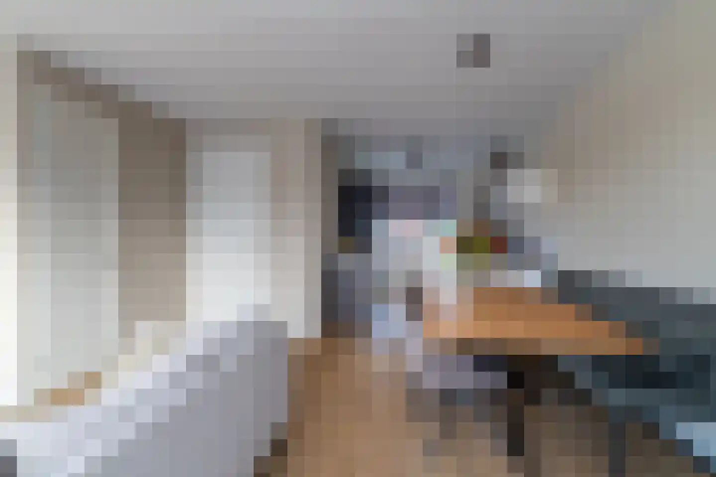 Janbaas 11 Nieuwendijk thumbnail 12