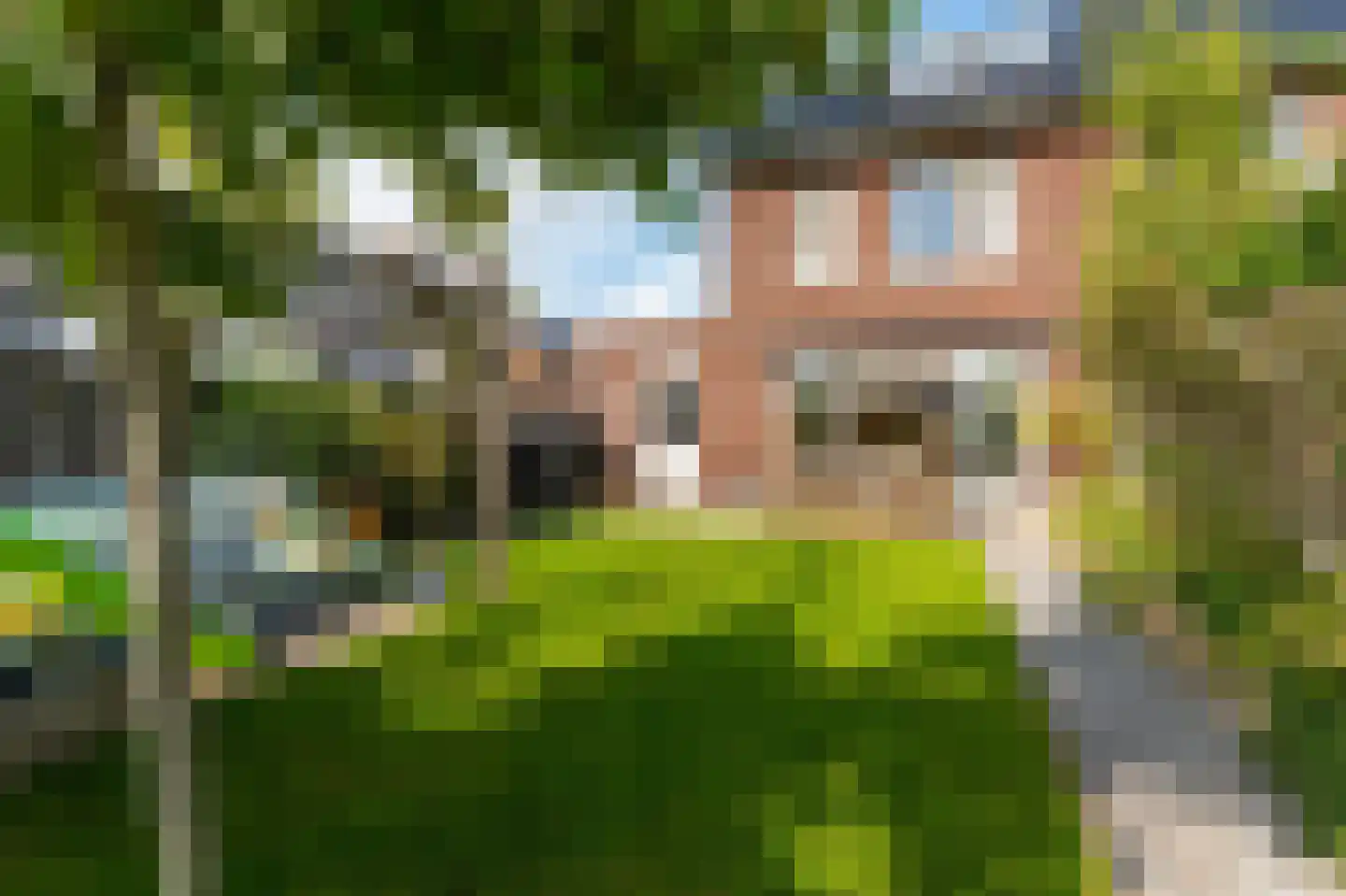 Janbaas 11 Nieuwendijk foto 2