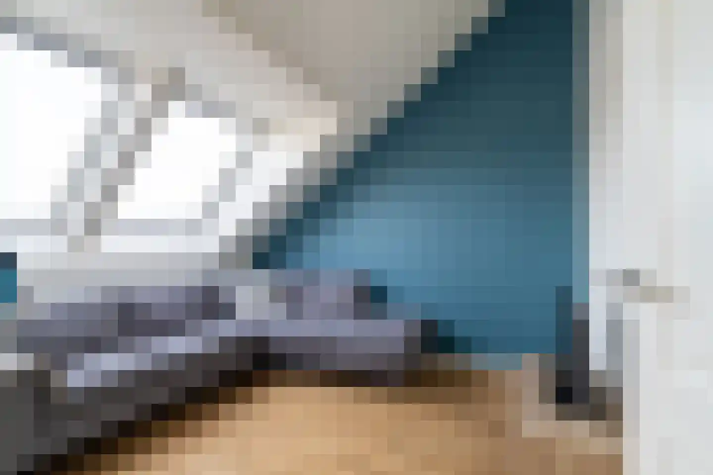 Janbaas 11 Nieuwendijk thumbnail 30