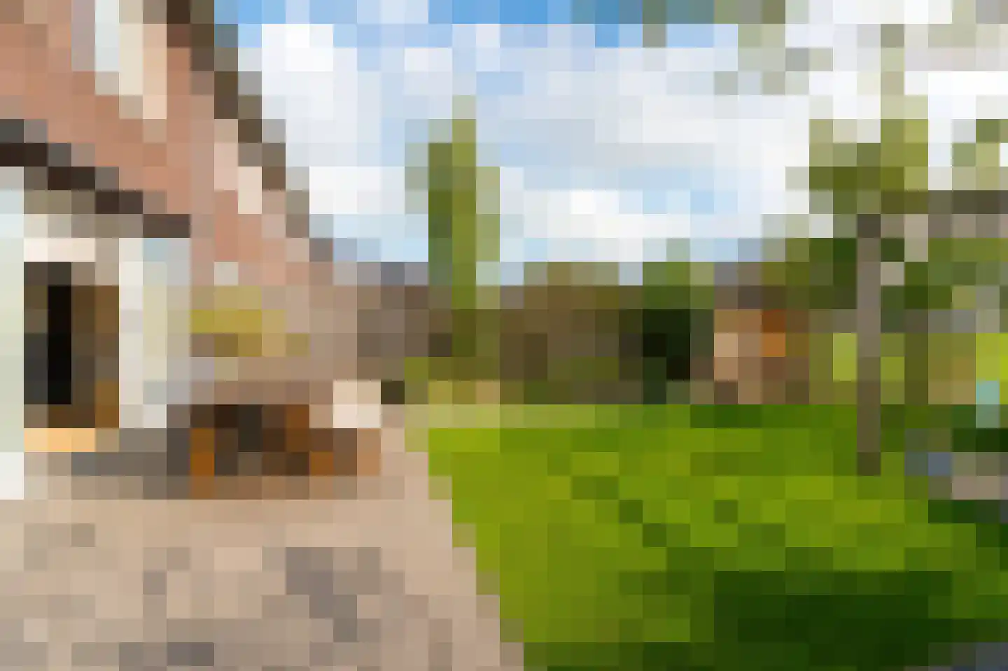 Janbaas 11 Nieuwendijk thumbnail 33