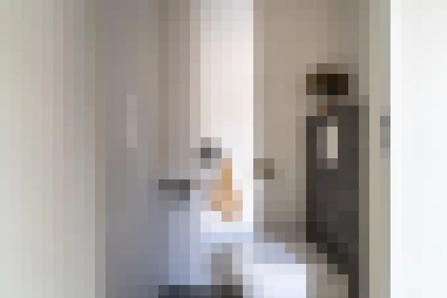 Janbaas 11 Nieuwendijk thumbnail 8