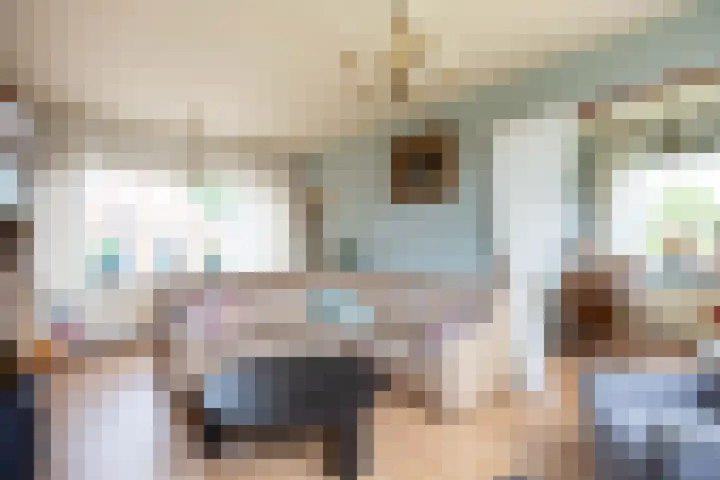 Jancko Douwamastrjitte 19 Aldeboarn thumbnail 10