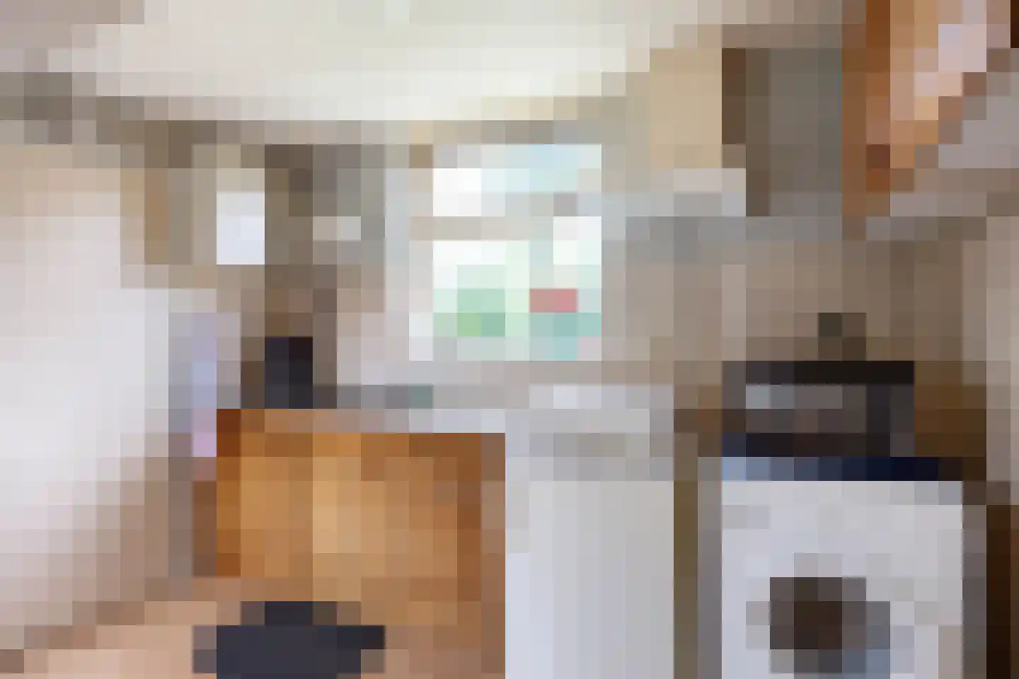 Jancko Douwamastrjitte 19 Aldeboarn thumbnail 11