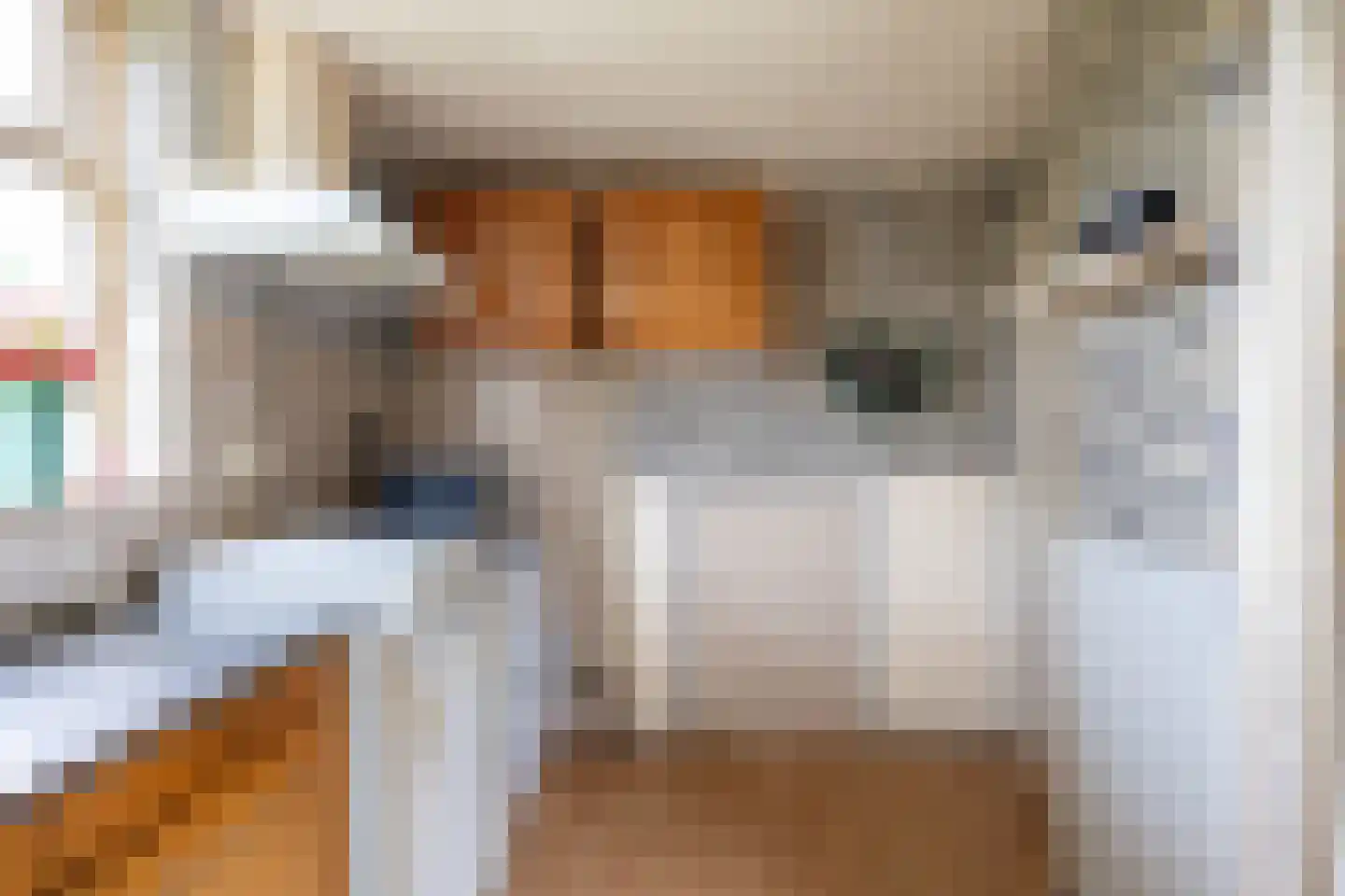 Jancko Douwamastrjitte 19 Aldeboarn thumbnail 13