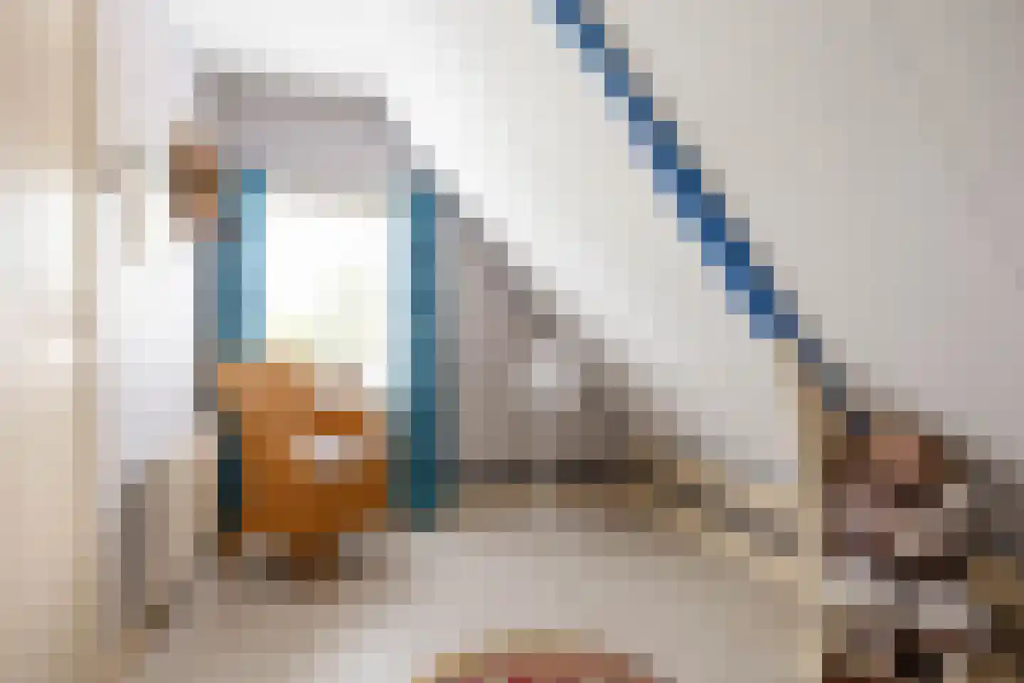 Jancko Douwamastrjitte 19 Aldeboarn thumbnail 17