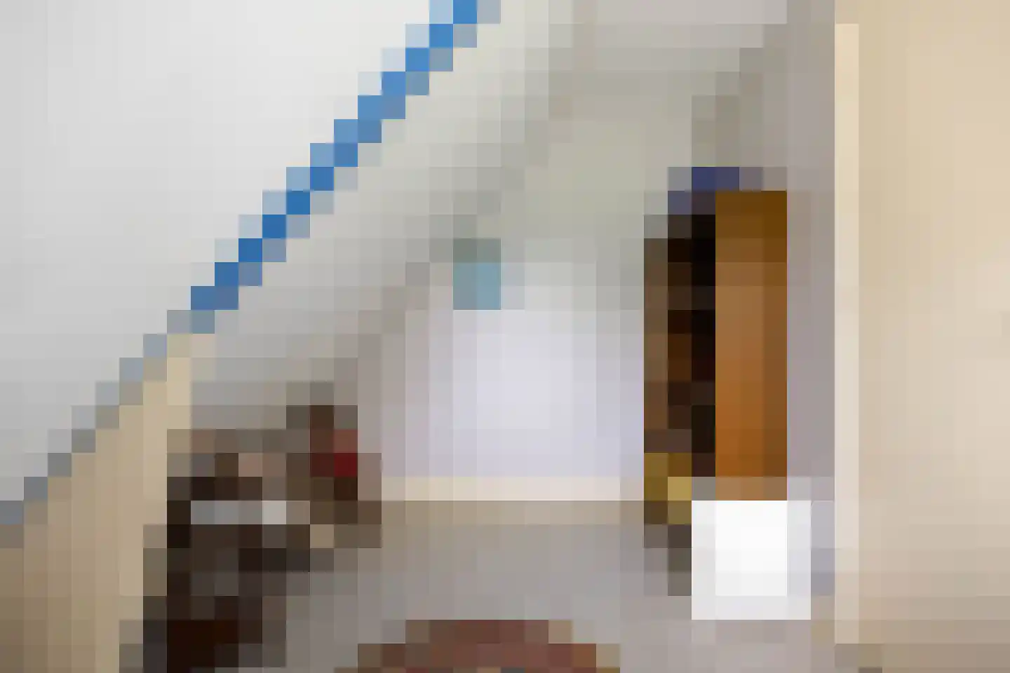 Jancko Douwamastrjitte 19 Aldeboarn thumbnail 18
