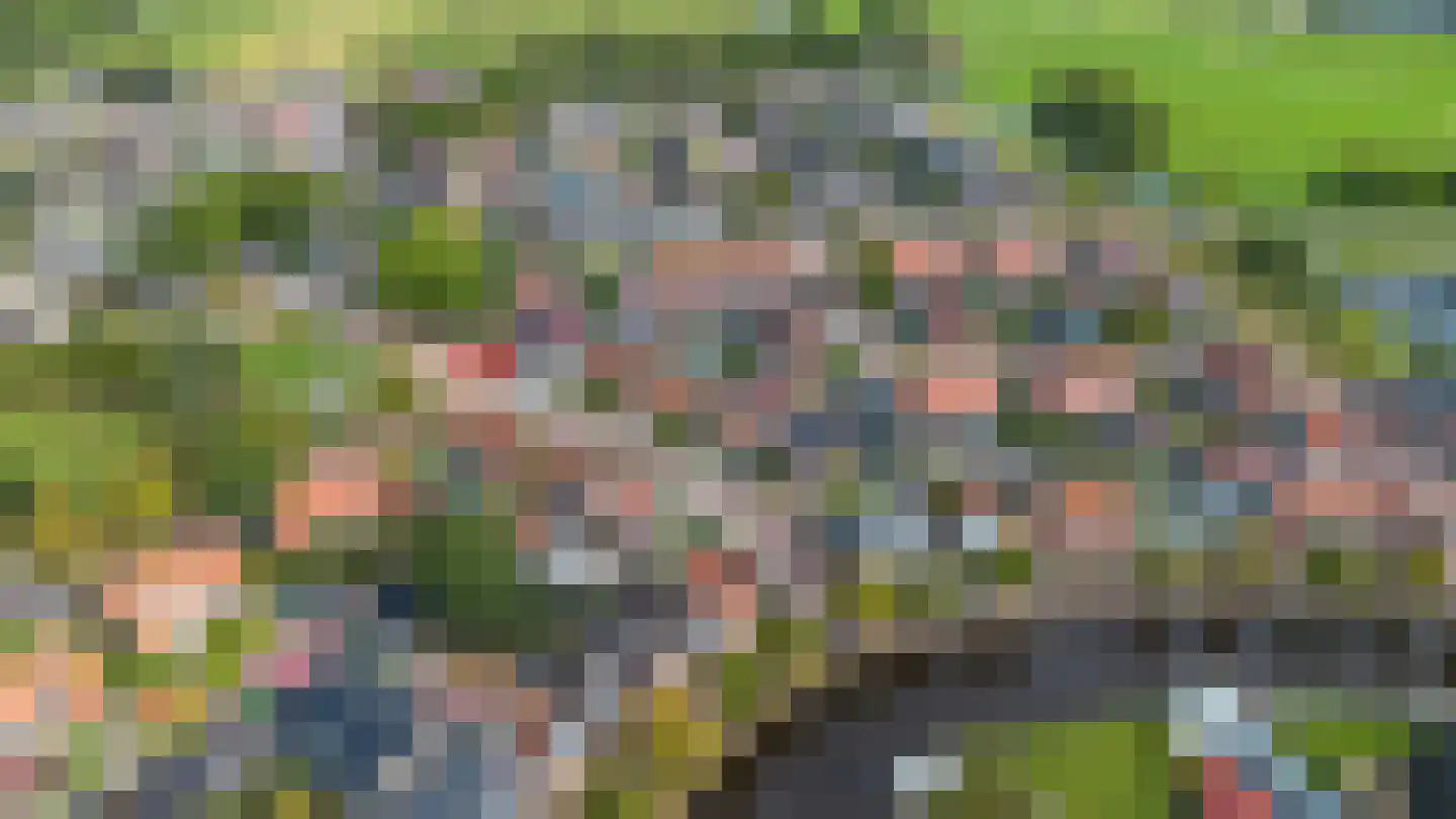 Jancko Douwamastrjitte 19 Aldeboarn thumbnail 26