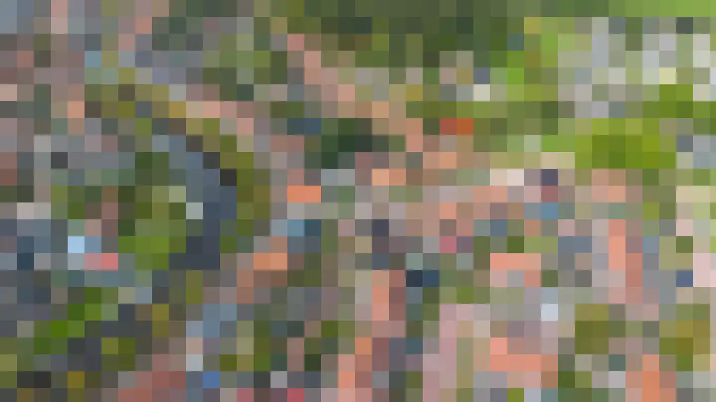 Jancko Douwamastrjitte 19 Aldeboarn thumbnail 27