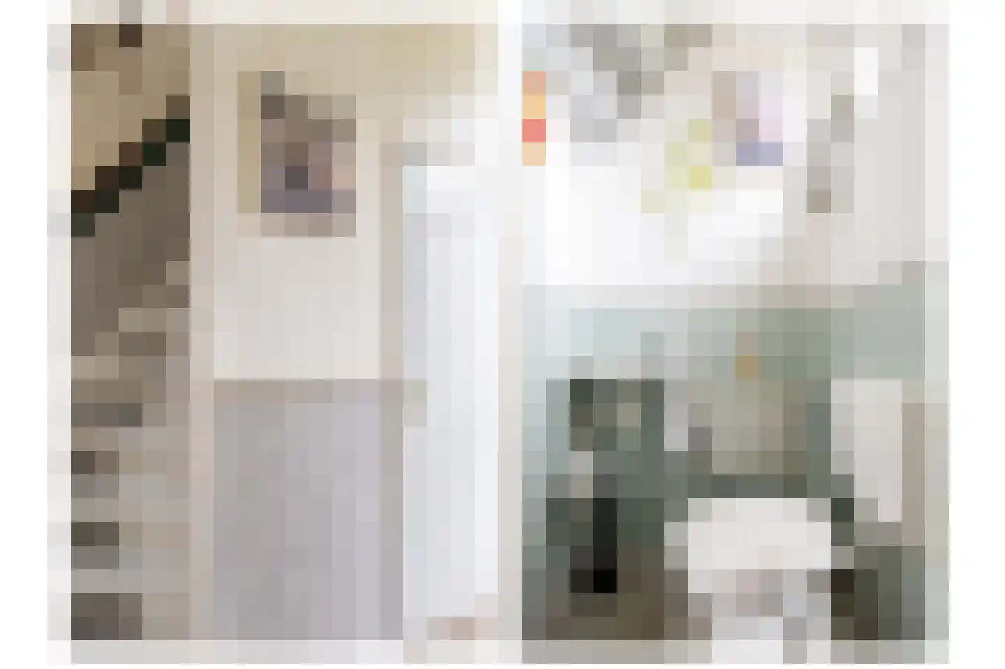 Jancko Douwamastrjitte 19 Aldeboarn thumbnail 4