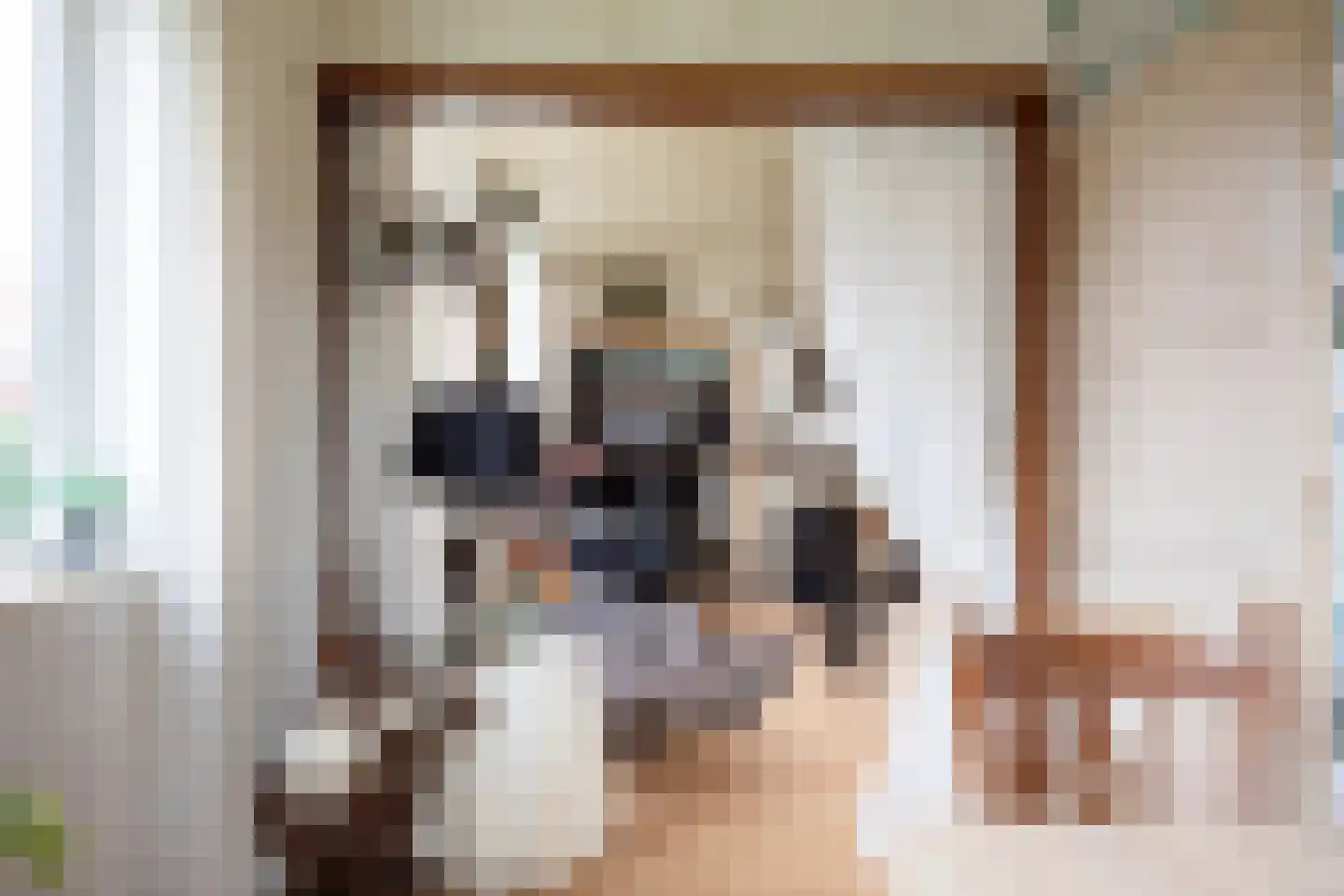 Jancko Douwamastrjitte 19 Aldeboarn thumbnail 6