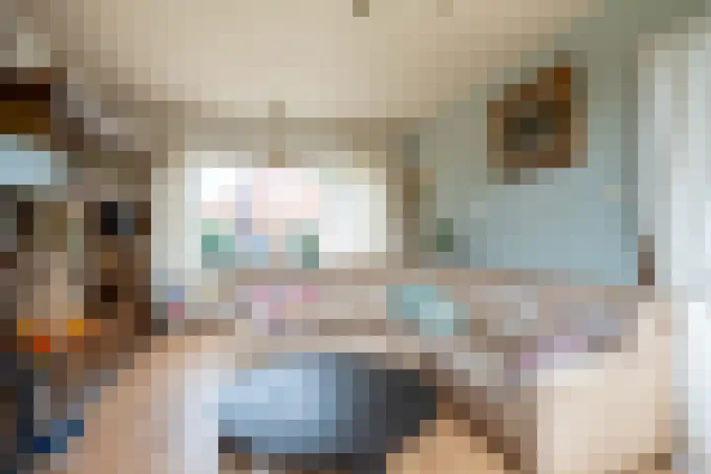 Jancko Douwamastrjitte 19 Aldeboarn thumbnail 8
