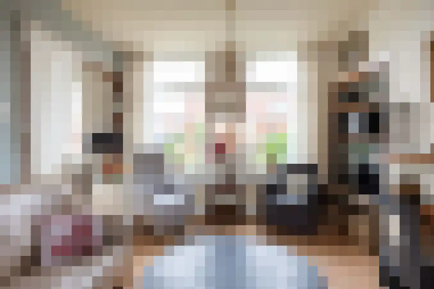 Jancko Douwamastrjitte 19 Aldeboarn thumbnail 9