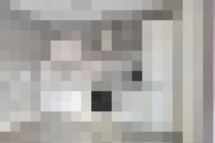 Jancko Douwamastrjitte 22 Aldeboarn thumbnail 10