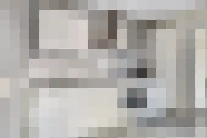 Jancko Douwamastrjitte 22 Aldeboarn thumbnail 11