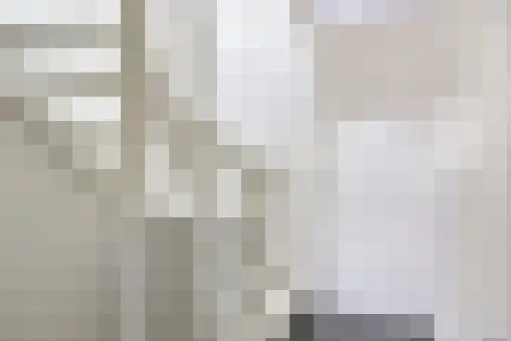 Jancko Douwamastrjitte 22 Aldeboarn thumbnail 14