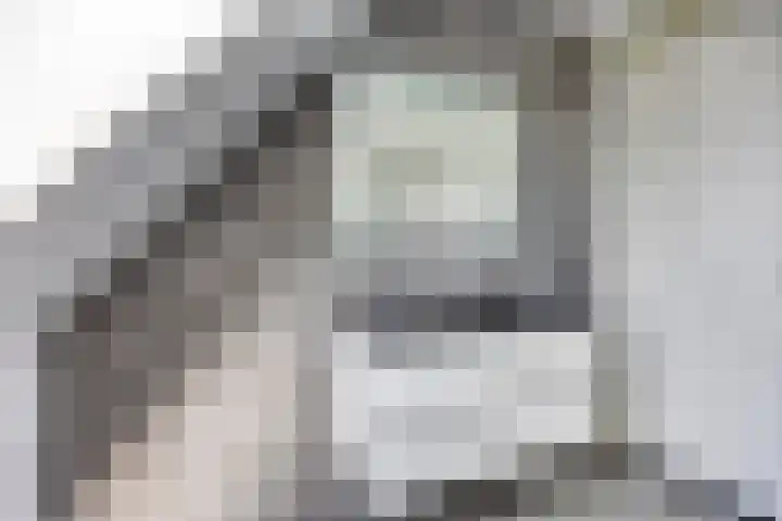 Jancko Douwamastrjitte 22 Aldeboarn thumbnail 16