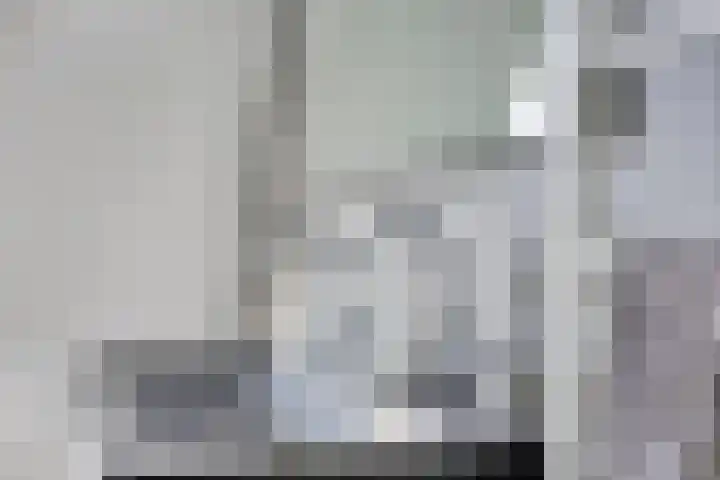 Jancko Douwamastrjitte 22 Aldeboarn thumbnail 17