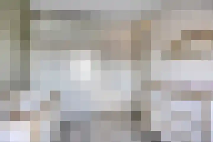 Jancko Douwamastrjitte 22 Aldeboarn thumbnail 18