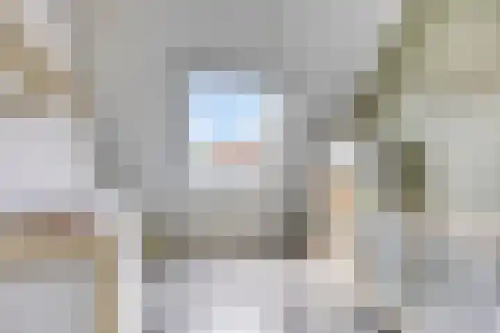 Jancko Douwamastrjitte 22 Aldeboarn thumbnail 19