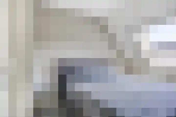 Jancko Douwamastrjitte 22 Aldeboarn thumbnail 20