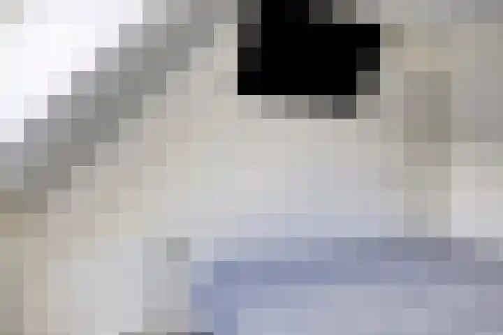 Jancko Douwamastrjitte 22 Aldeboarn thumbnail 21