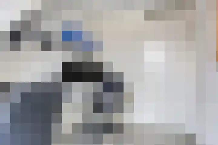 Jancko Douwamastrjitte 22 Aldeboarn thumbnail 23