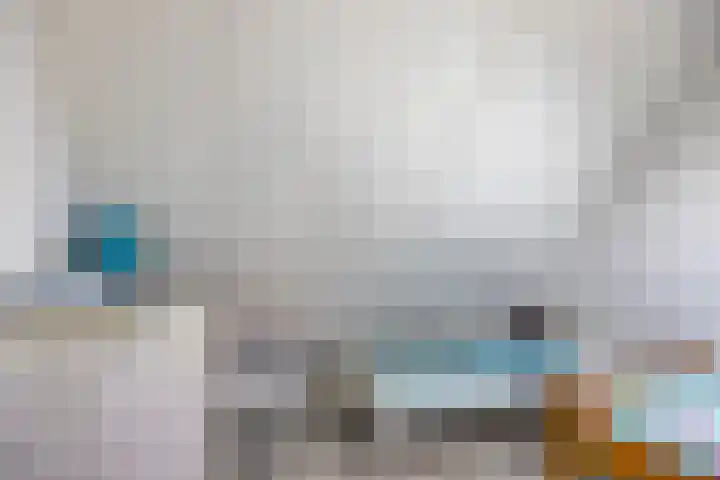 Jancko Douwamastrjitte 22 Aldeboarn thumbnail 25