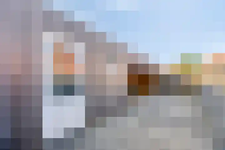 Jancko Douwamastrjitte 22 Aldeboarn thumbnail 27