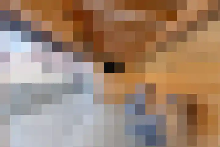 Jancko Douwamastrjitte 22 Aldeboarn thumbnail 29