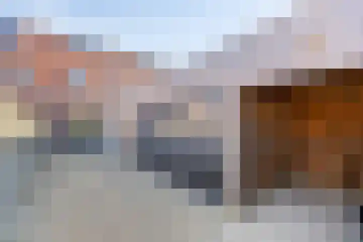 Jancko Douwamastrjitte 22 Aldeboarn thumbnail 30