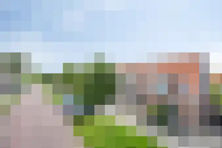 Jancko Douwamastrjitte 22 Aldeboarn thumbnail 31
