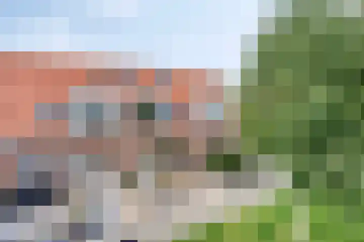 Jancko Douwamastrjitte 22 Aldeboarn thumbnail 32