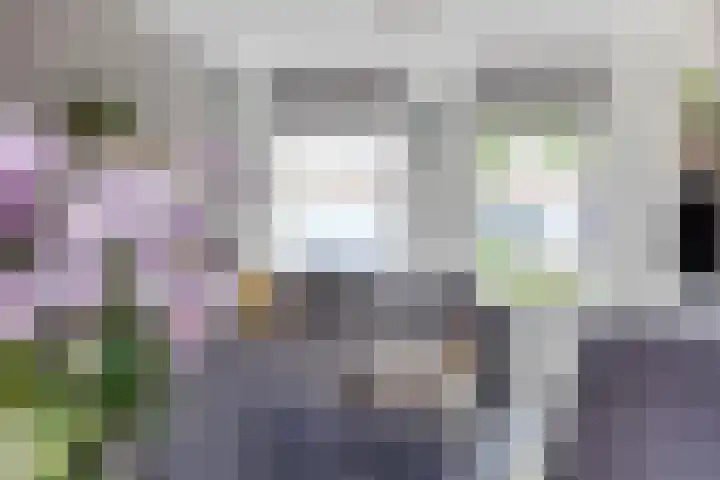 Jancko Douwamastrjitte 22 Aldeboarn thumbnail 6