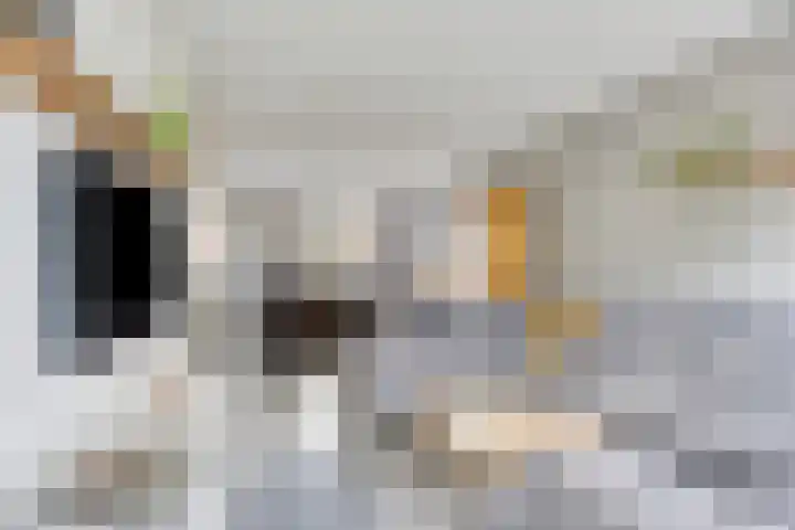 Jancko Douwamastrjitte 22 Aldeboarn thumbnail 7