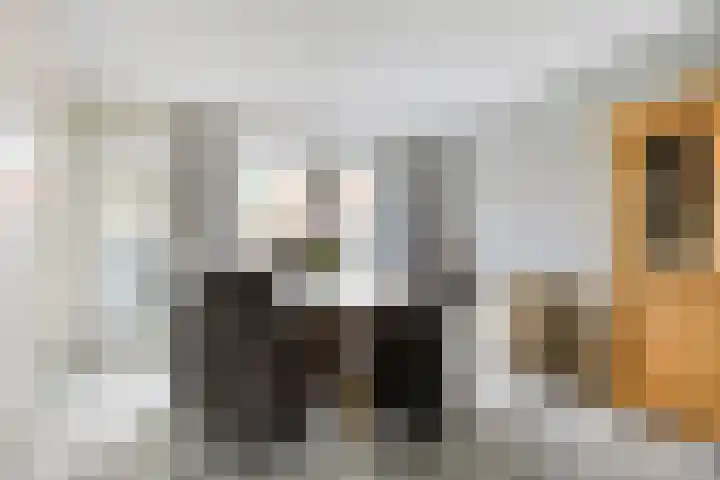 Jancko Douwamastrjitte 22 Aldeboarn thumbnail 8