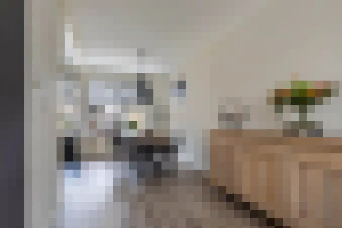 Jancko Douwamastrjitte 35 a Aldeboarn thumbnail 20