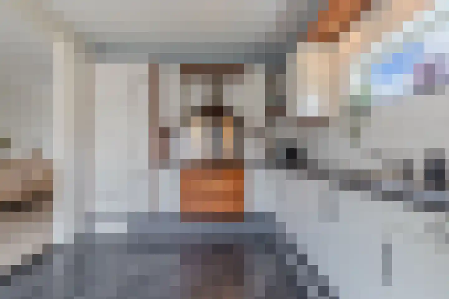 Jancko Douwamastrjitte 35 a Aldeboarn thumbnail 23