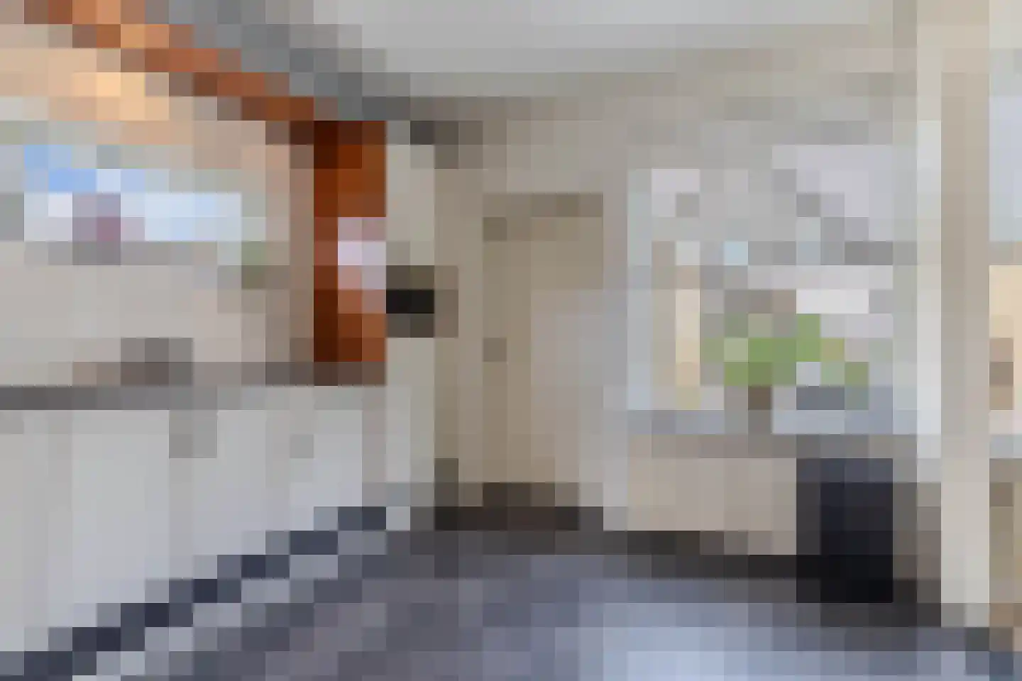 Jancko Douwamastrjitte 35 a Aldeboarn thumbnail 24
