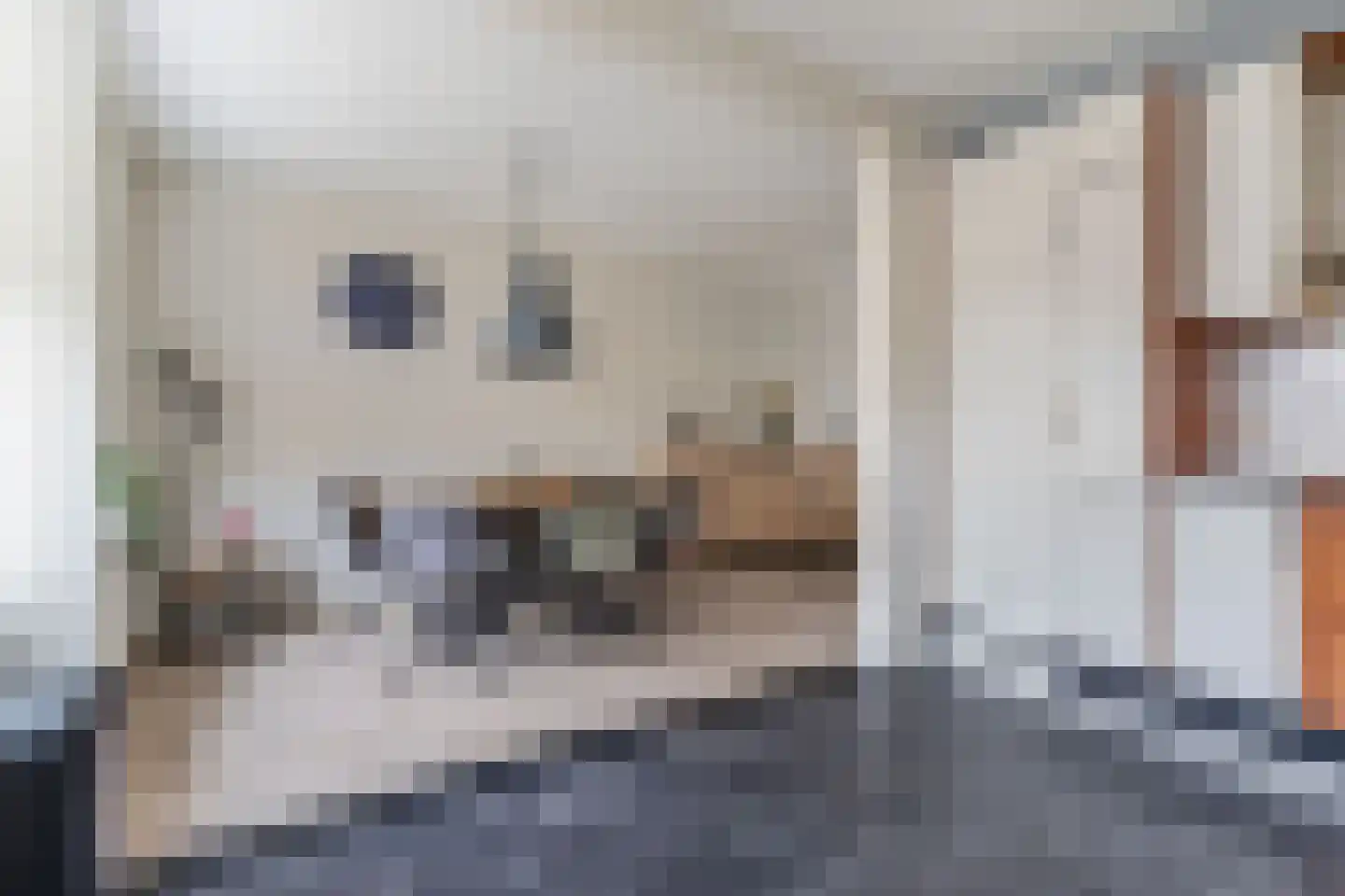 Jancko Douwamastrjitte 35 a Aldeboarn thumbnail 27