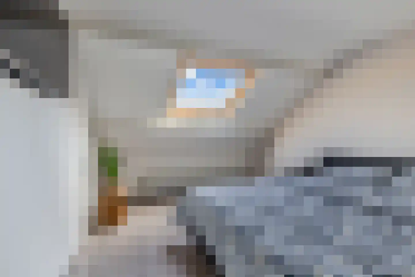Jancko Douwamastrjitte 35 a Aldeboarn thumbnail 30