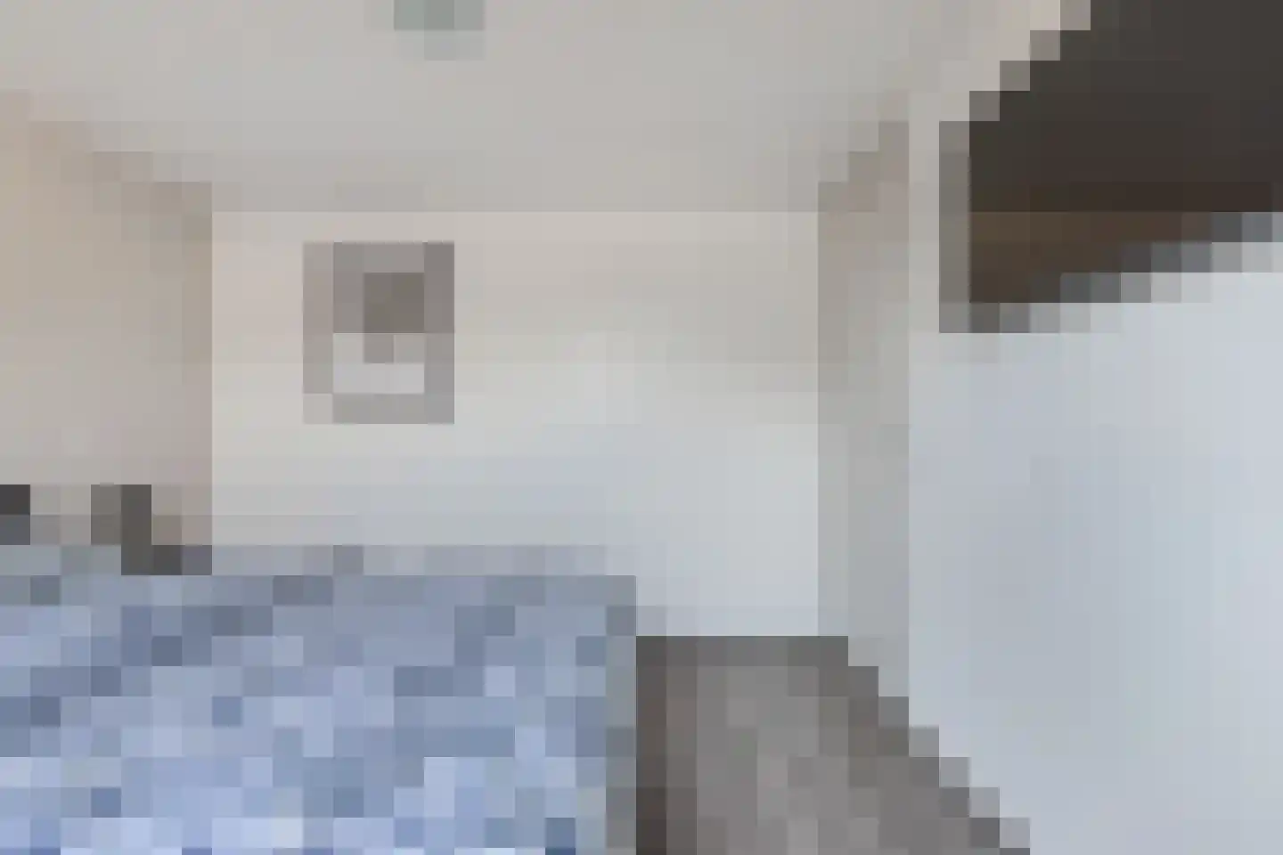 Jancko Douwamastrjitte 35 a Aldeboarn thumbnail 31